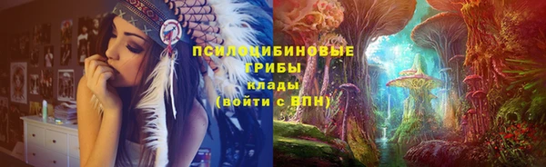 индика Абдулино