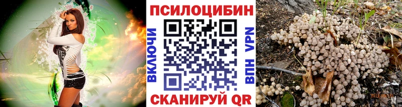 Псилоцибиновые грибы ЛСД  купить  цена  Вытегра 