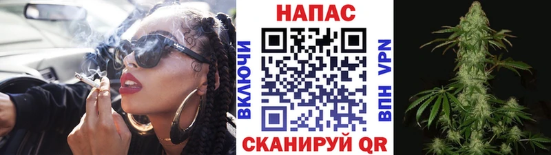 omg ТОР мориарти как зайти Вытегра Конопля SATIVA & INDICA купить наркотик